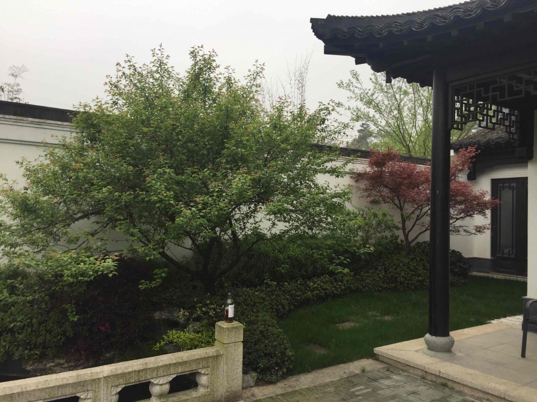 又是一年春色好，绿意丛中把酒找