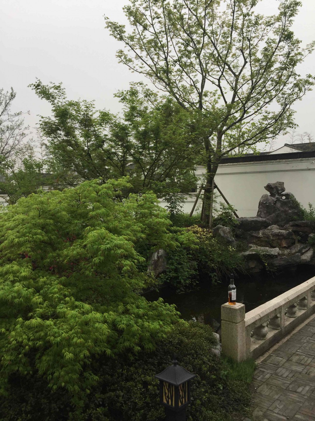 又是一年春色好，绿意丛中把酒找