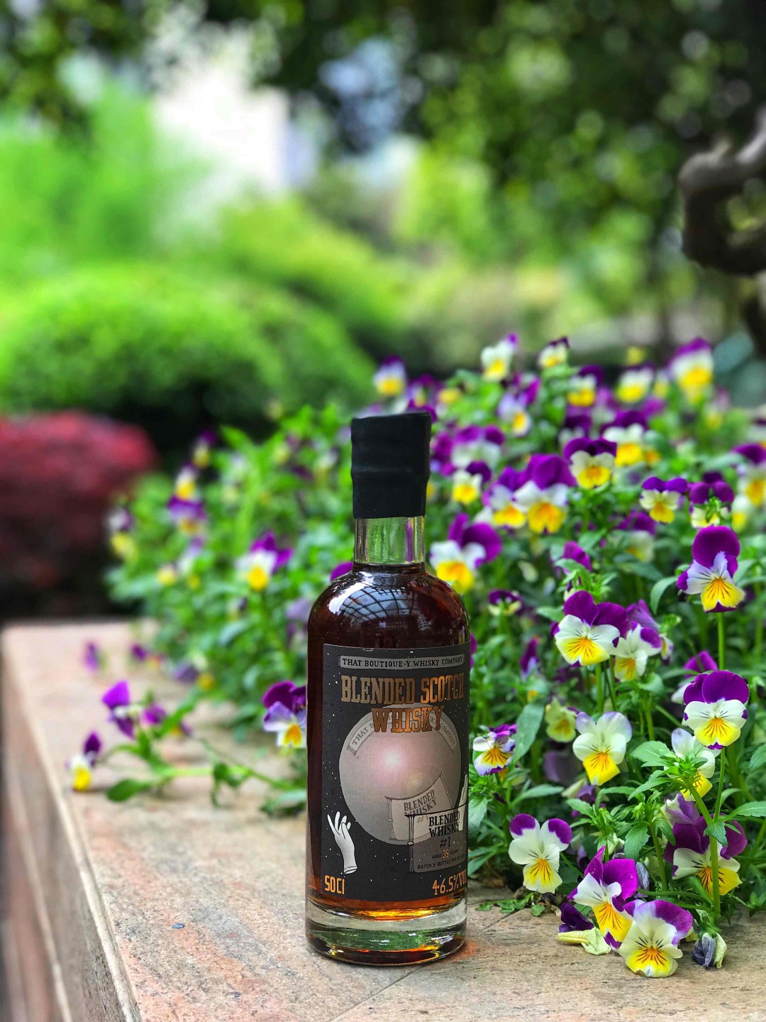 酒虫踏春之春暖花开