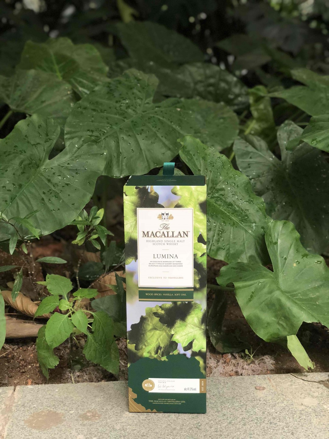 酒蟲踏春·绚绿