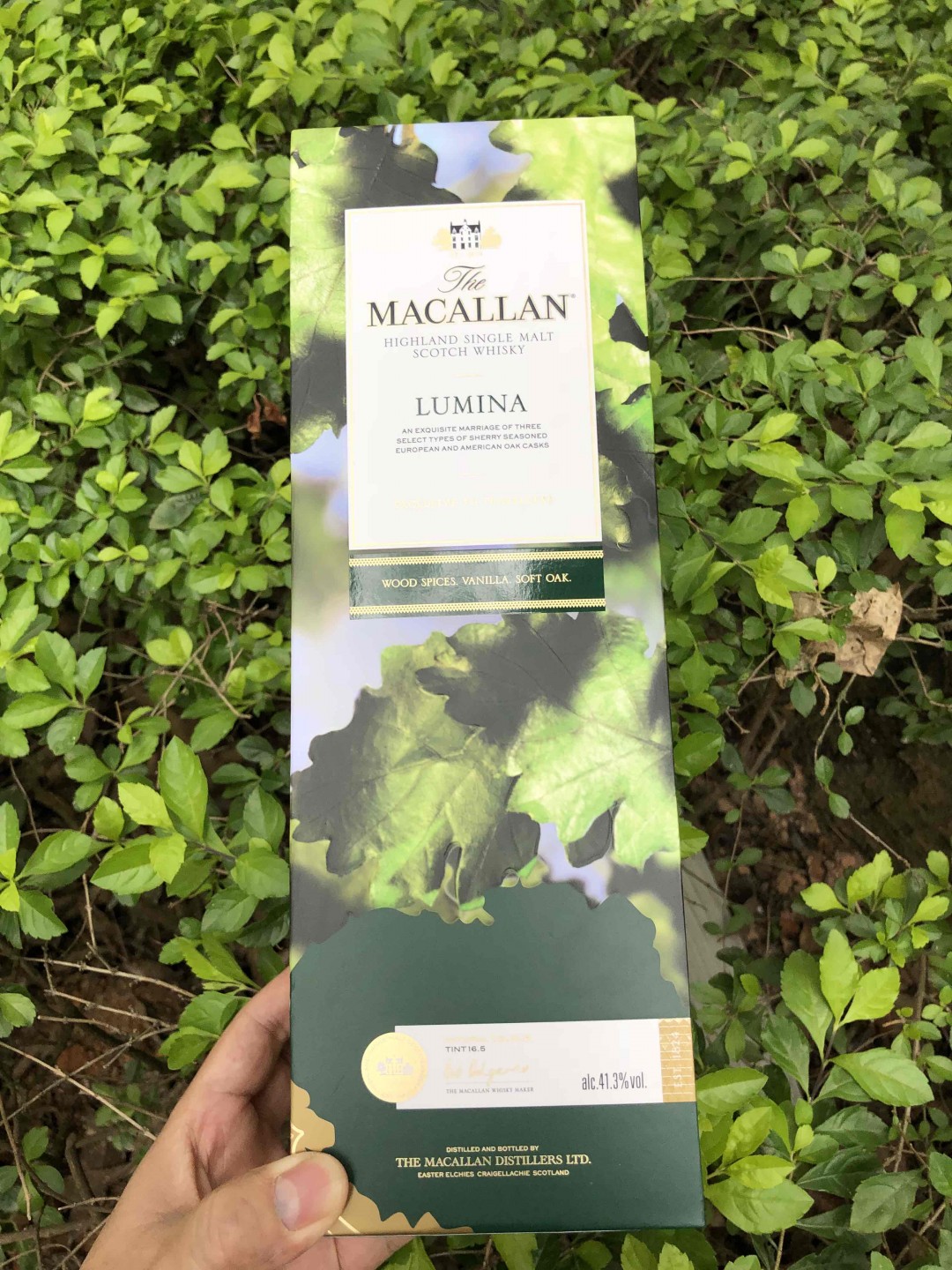 酒蟲踏春·绚绿