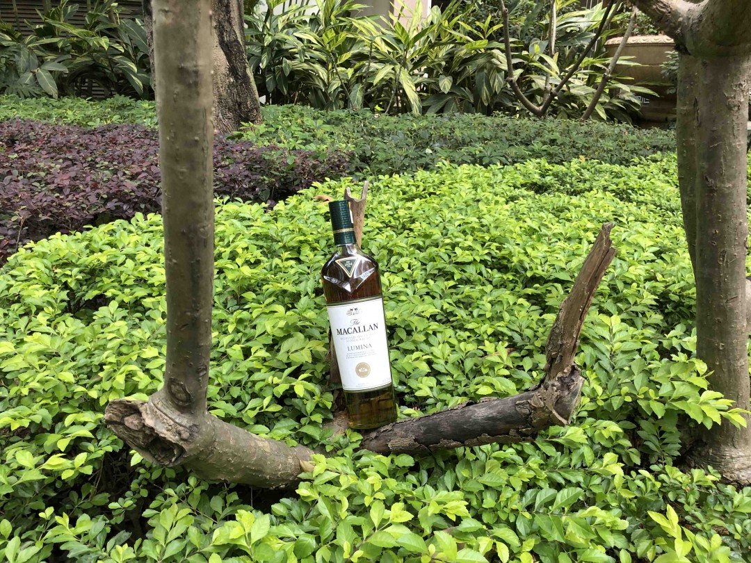 酒蟲踏春·绚绿