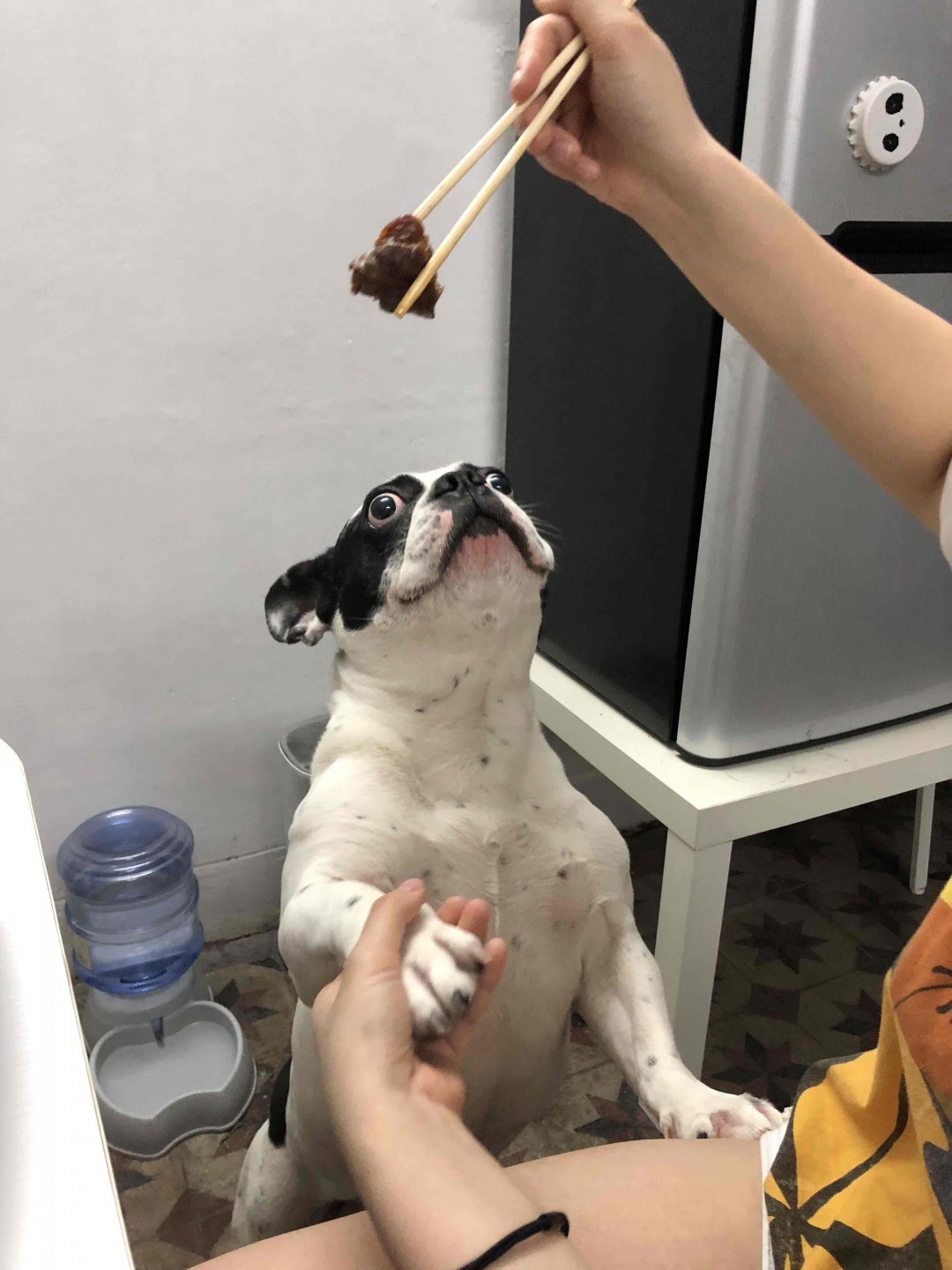 每天都說不約了不約了，天天打臉<img src='https://sdata.whiskyworm.com/xcxpics/emoji_51.png' class='emoji' />