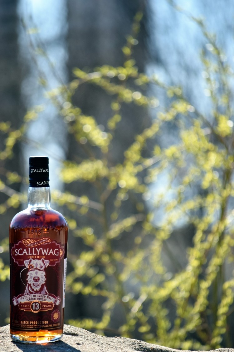 酒虫踏春之迟来的春天