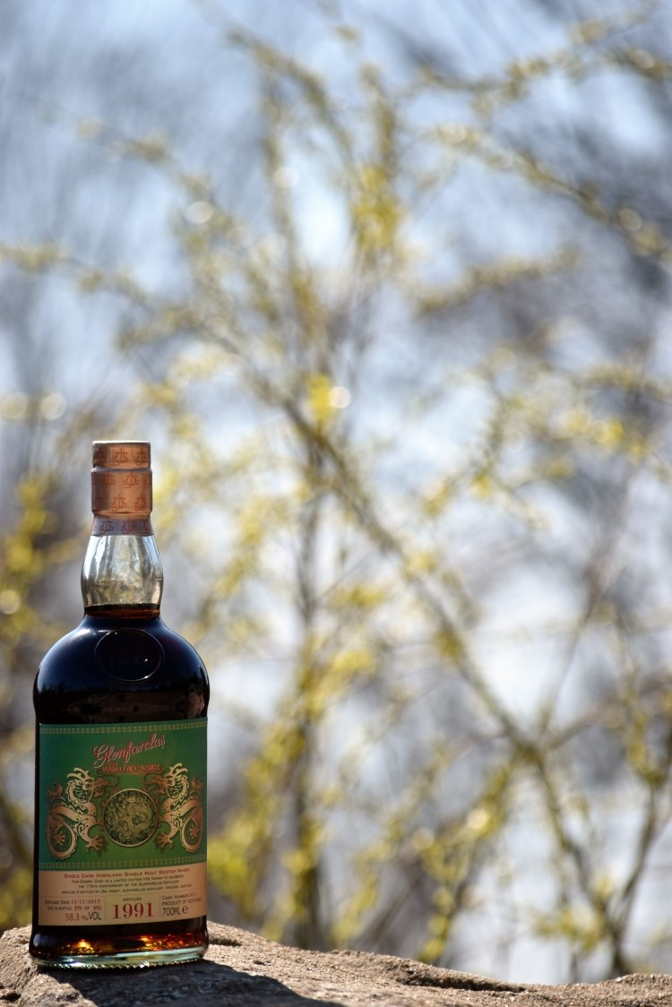 酒虫踏春之迟来的春天