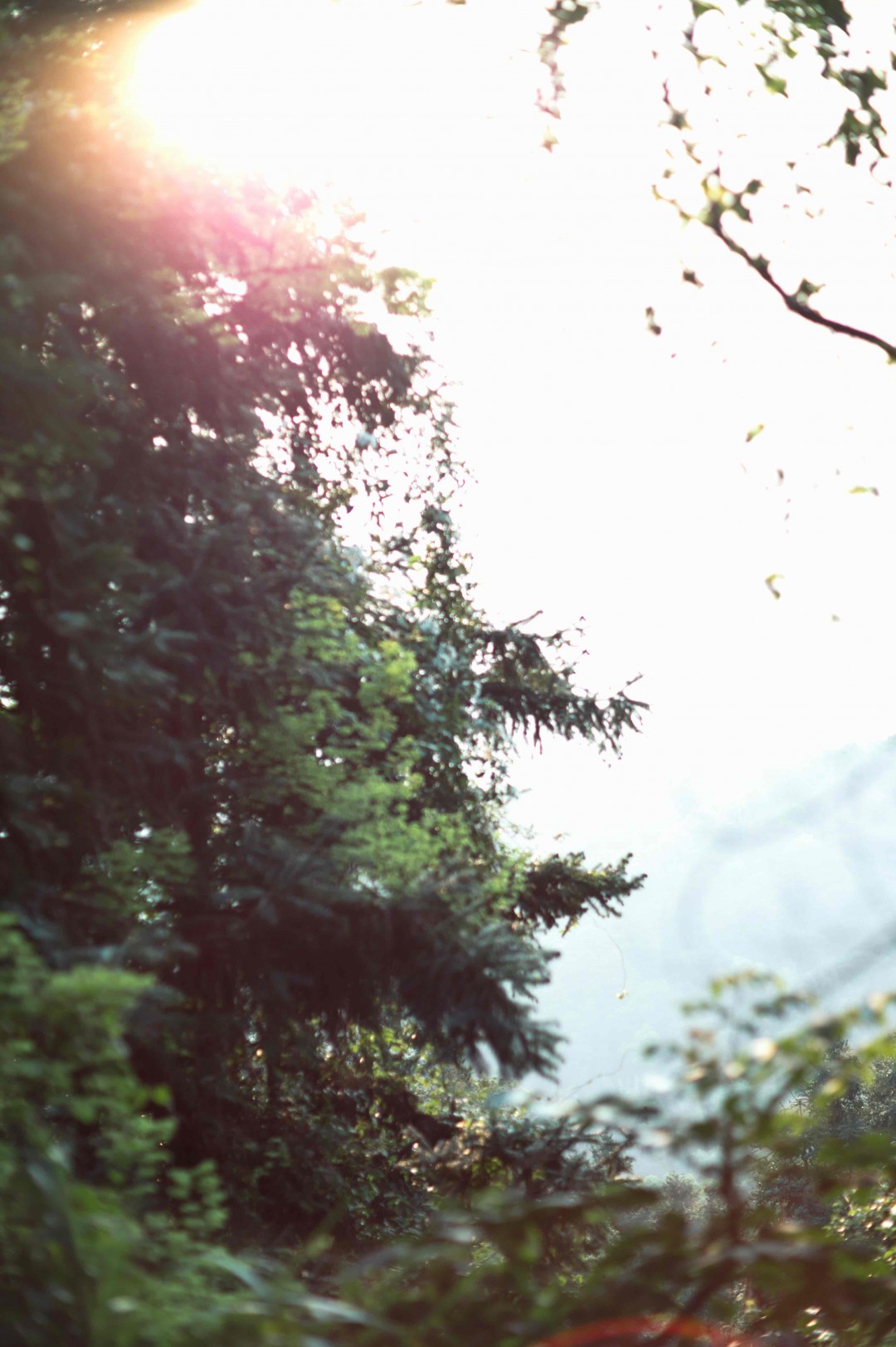 没有雨纷纷，不见断魂人，只有杏花村