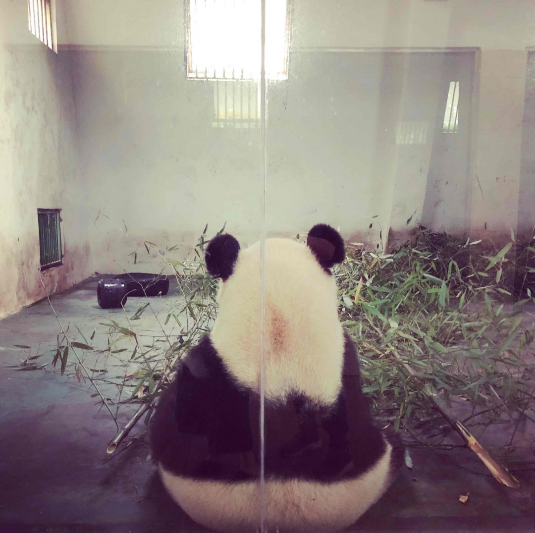 中国好精酿！什么时候能喝到国产优质威士忌，别跟我提高朗。