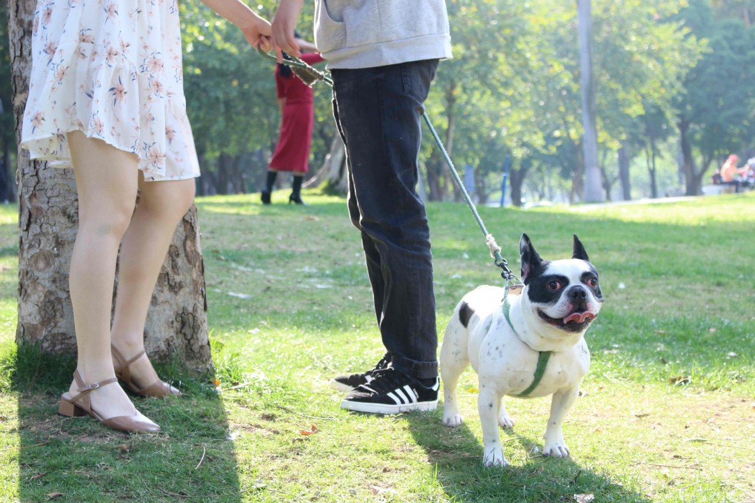 OFF DAY野餐喝酒时间