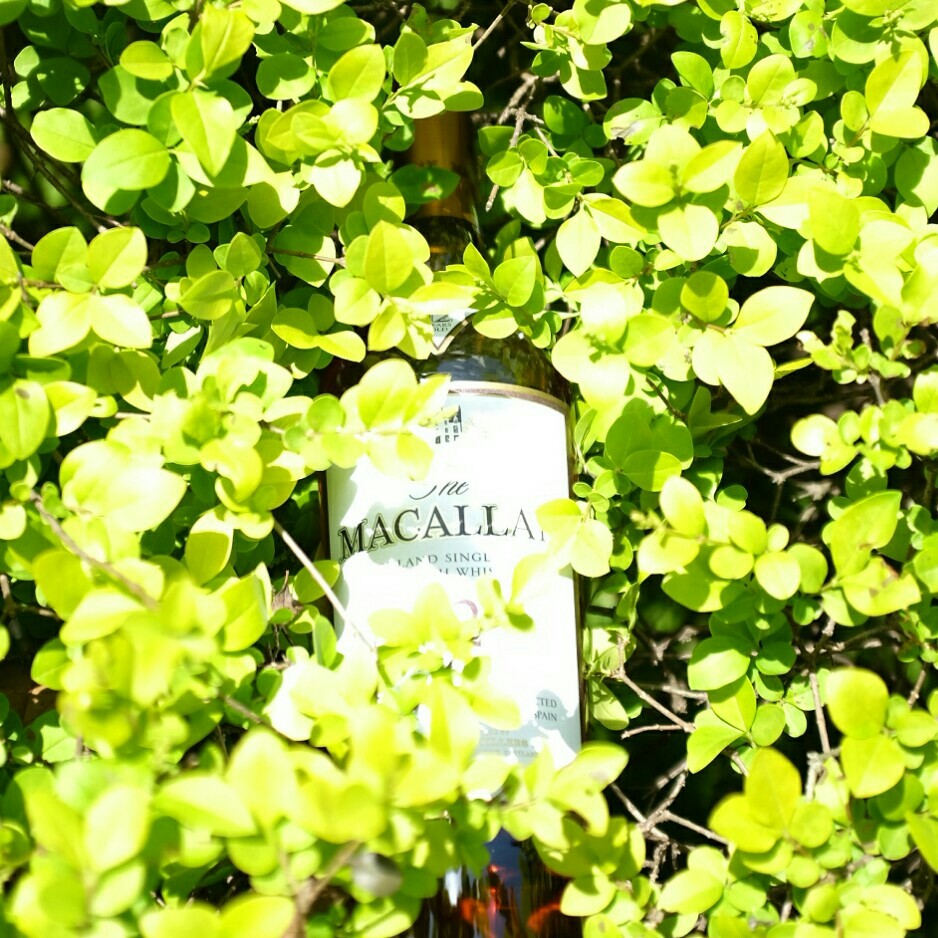 酒虫踏春之庭院寻芳