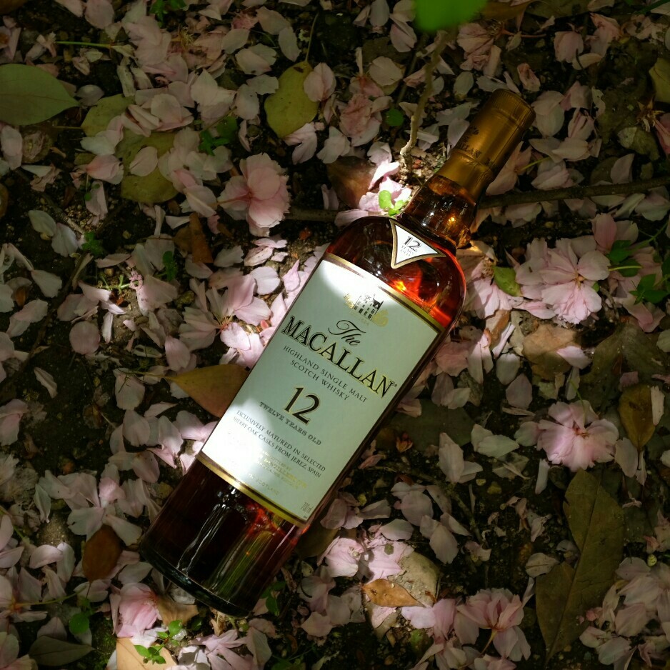 酒虫踏春之庭院寻芳