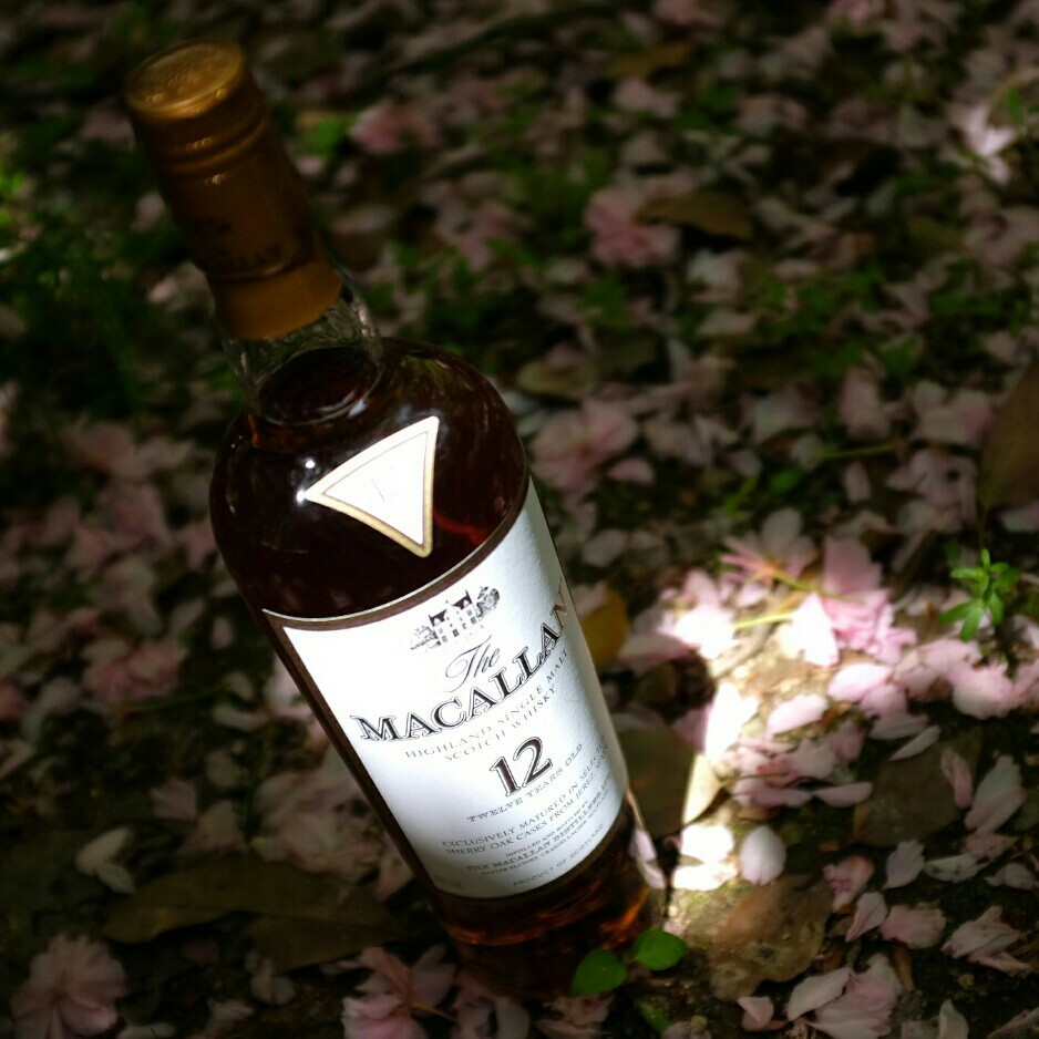 酒虫踏春之庭院寻芳
