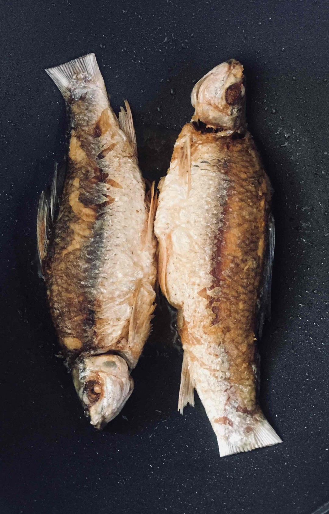 酒虫踏春之匆匆路过