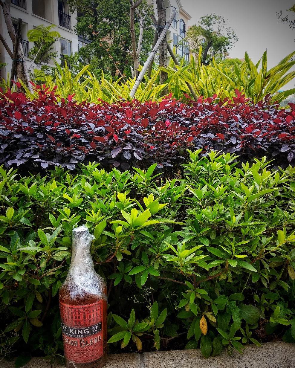 酒虫踏春之春色满园