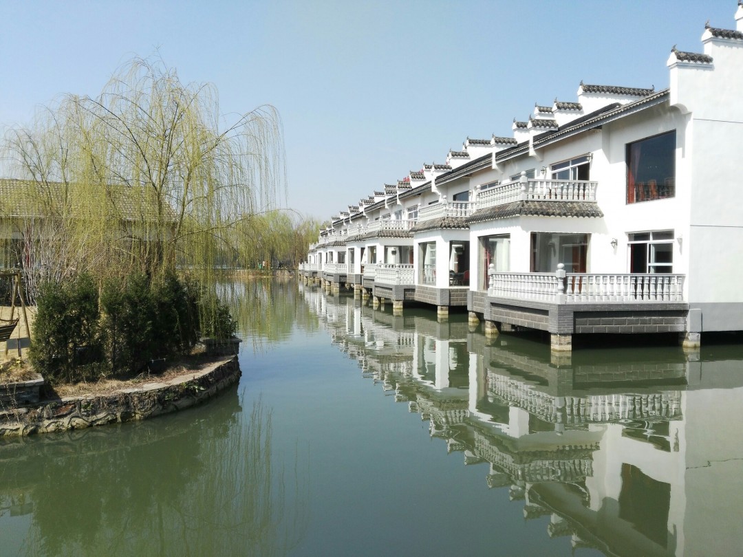 酒虫踏春之春意盎然配美酒