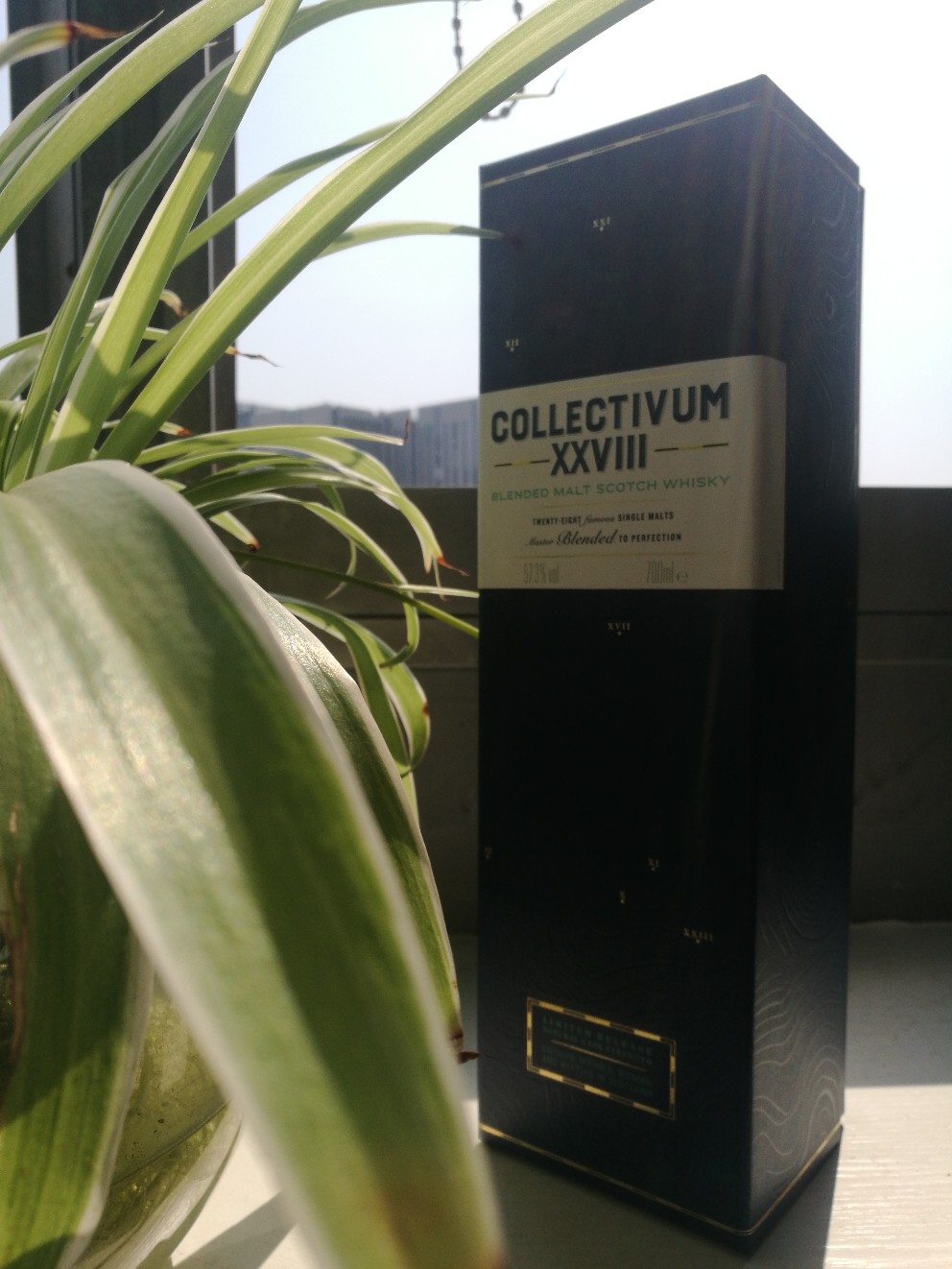 最近这个酒很火，我也来秀一个