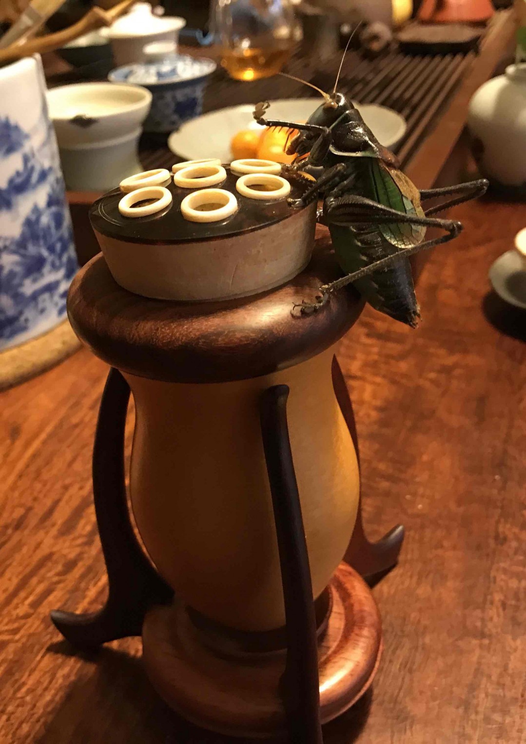 没啥好酒 晒一些日常饮用🥃