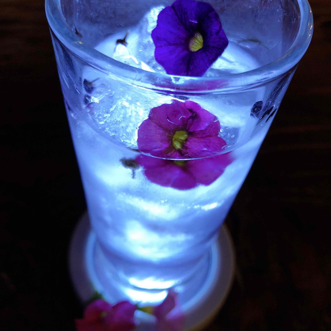 生活不过眼前的诗酒