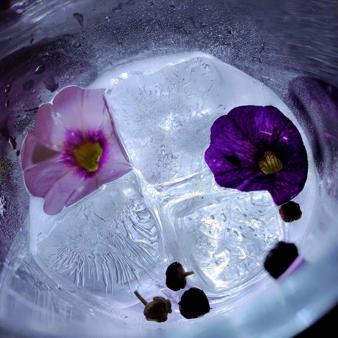 生活不过眼前的诗酒