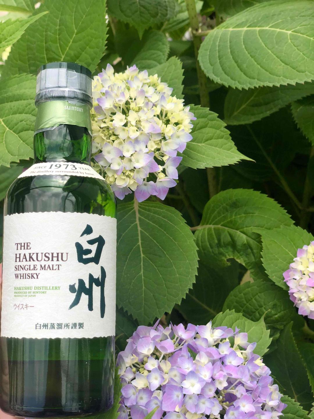 带上真爱去大理 …