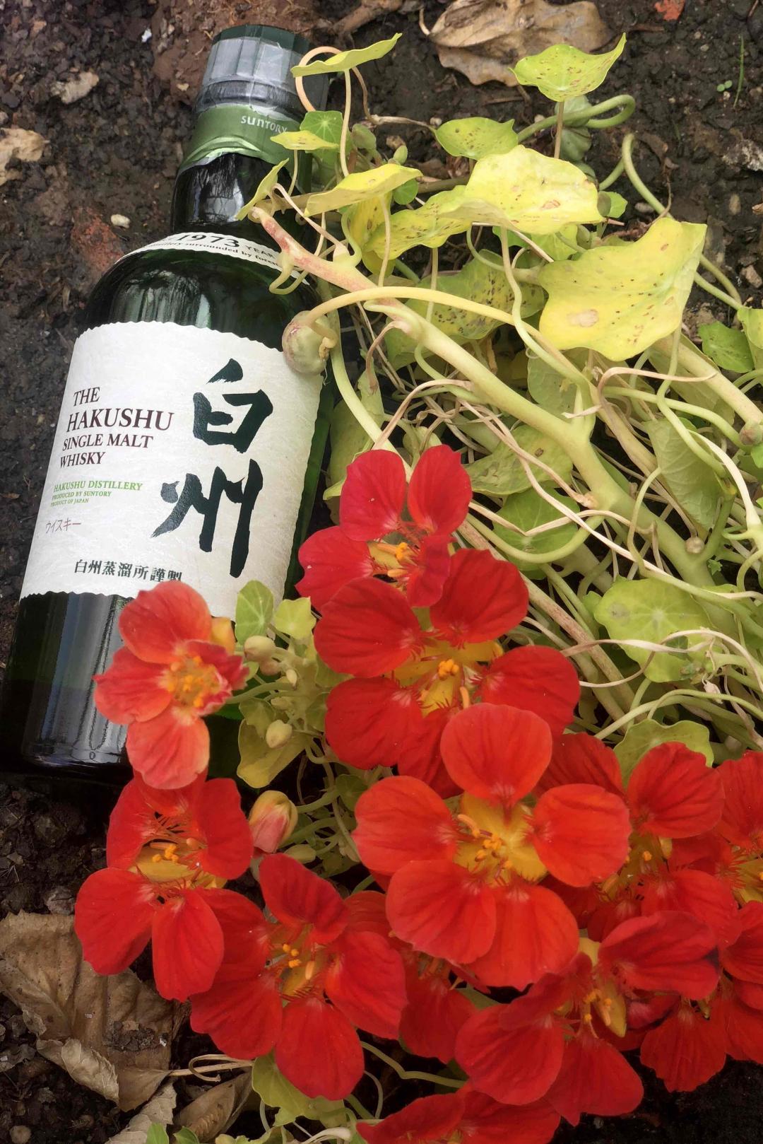 带上真爱去大理 …