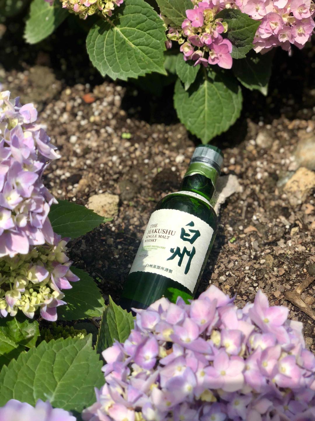 带上真爱去大理 …