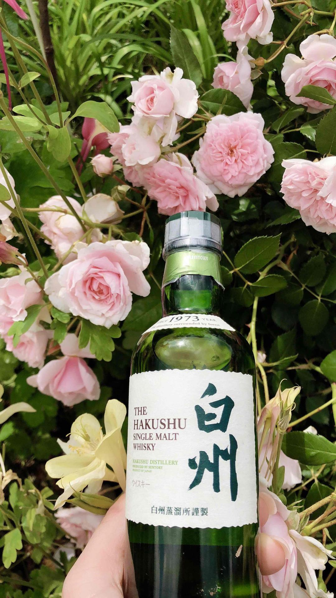 带上真爱去大理 …