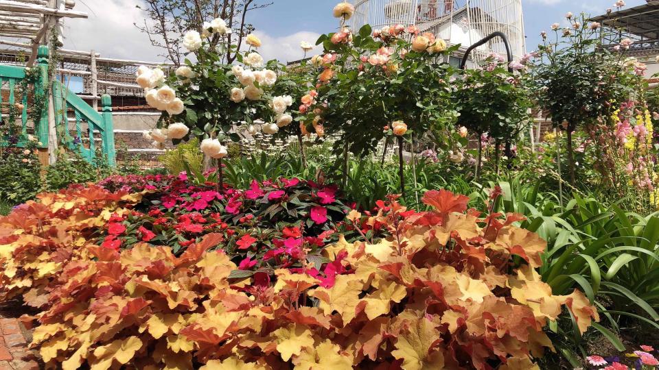 漂亮的花园，美的不要不要的…