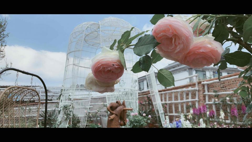 漂亮的花园，美的不要不要的…