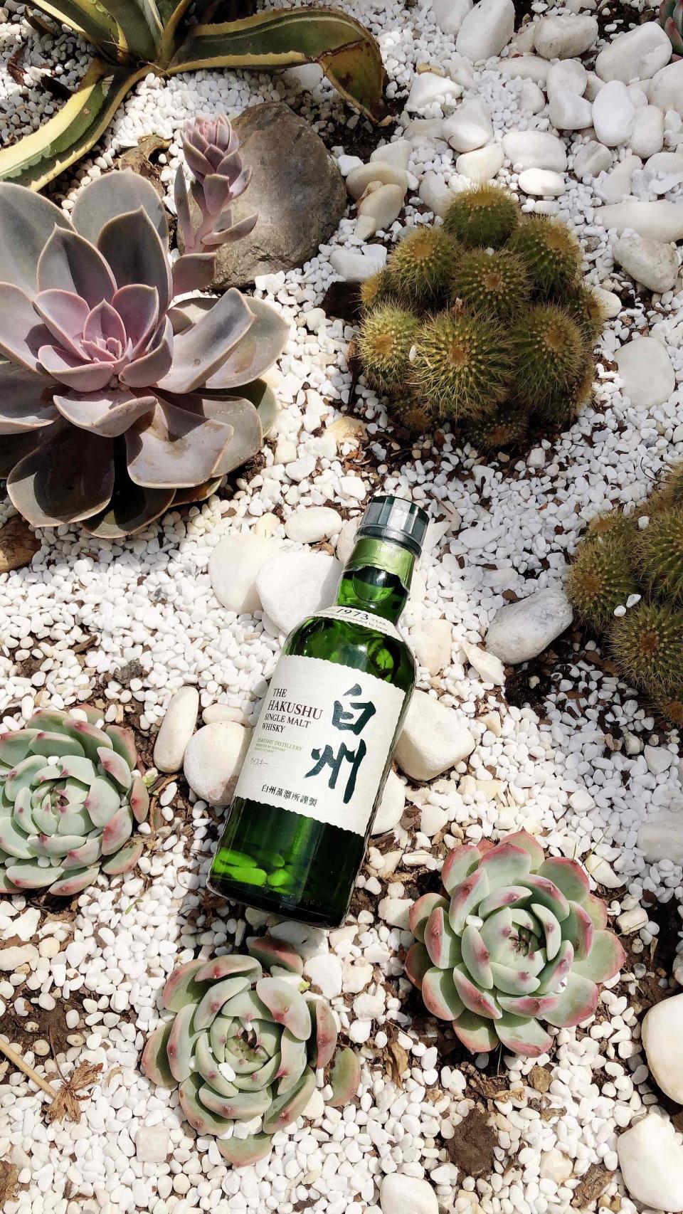 白州是个好模特😂