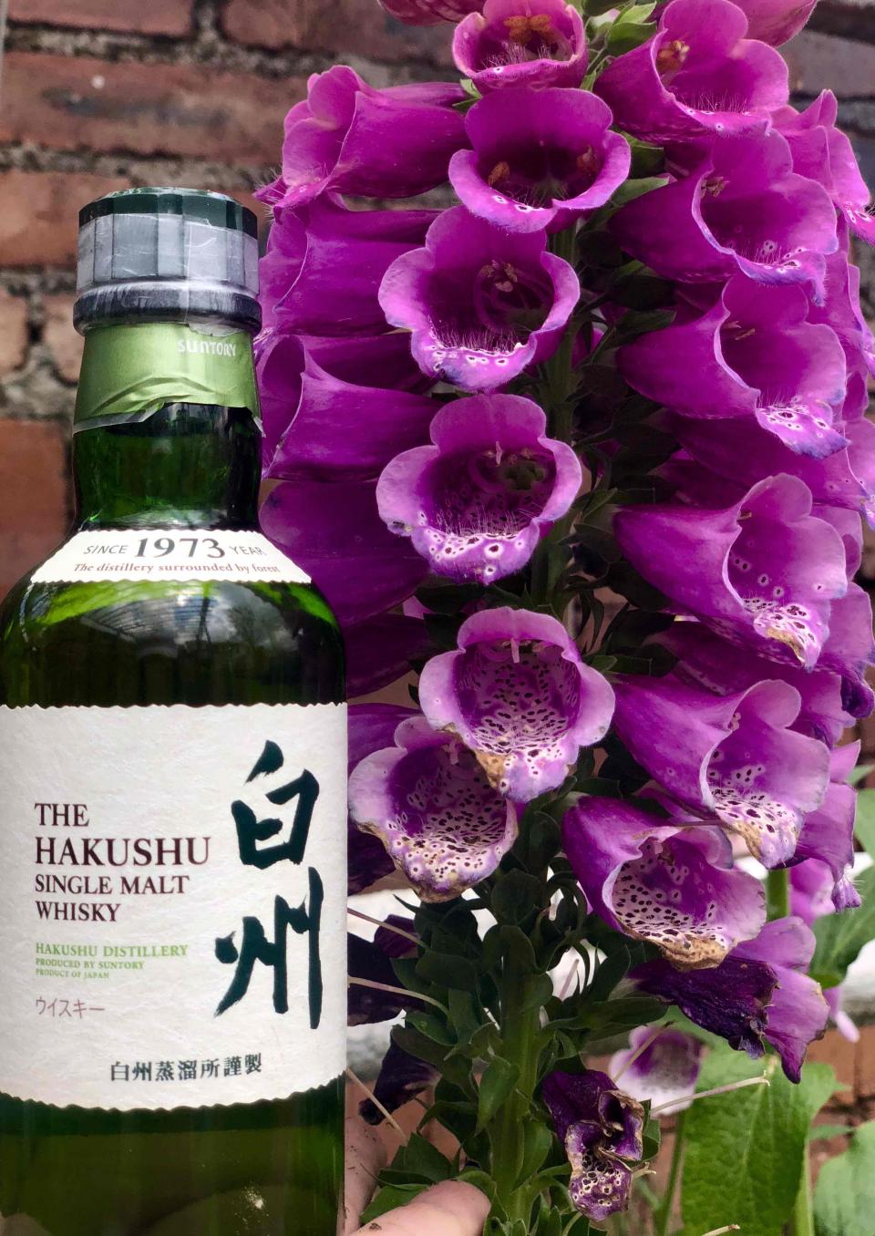 白州是个好模特😂