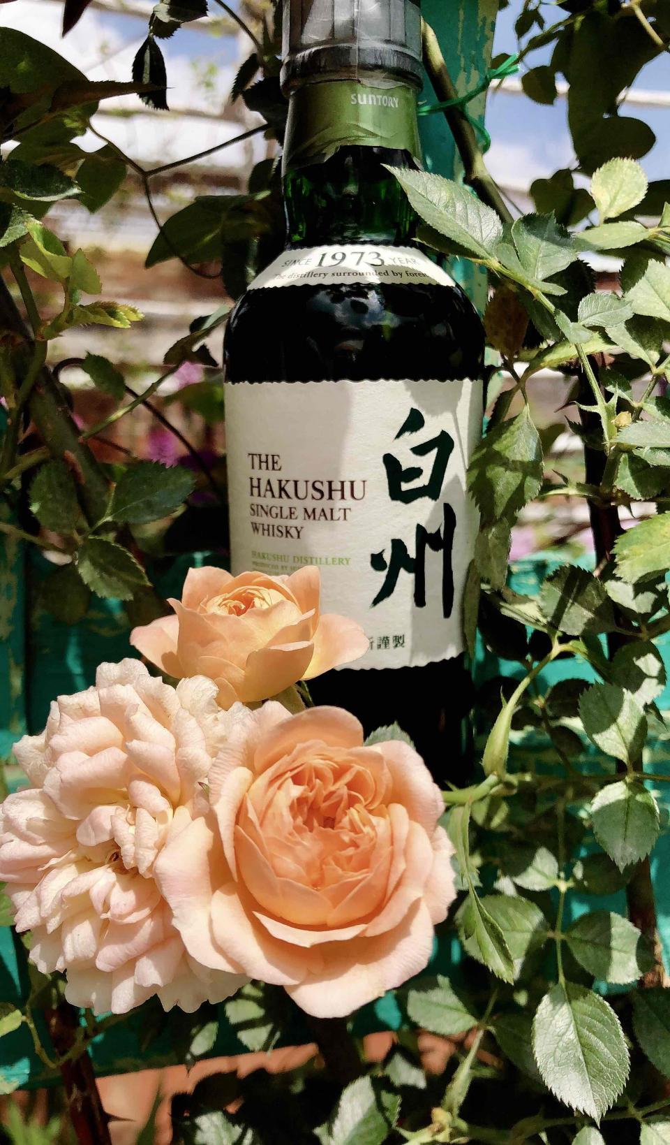 白州是个好模特😂