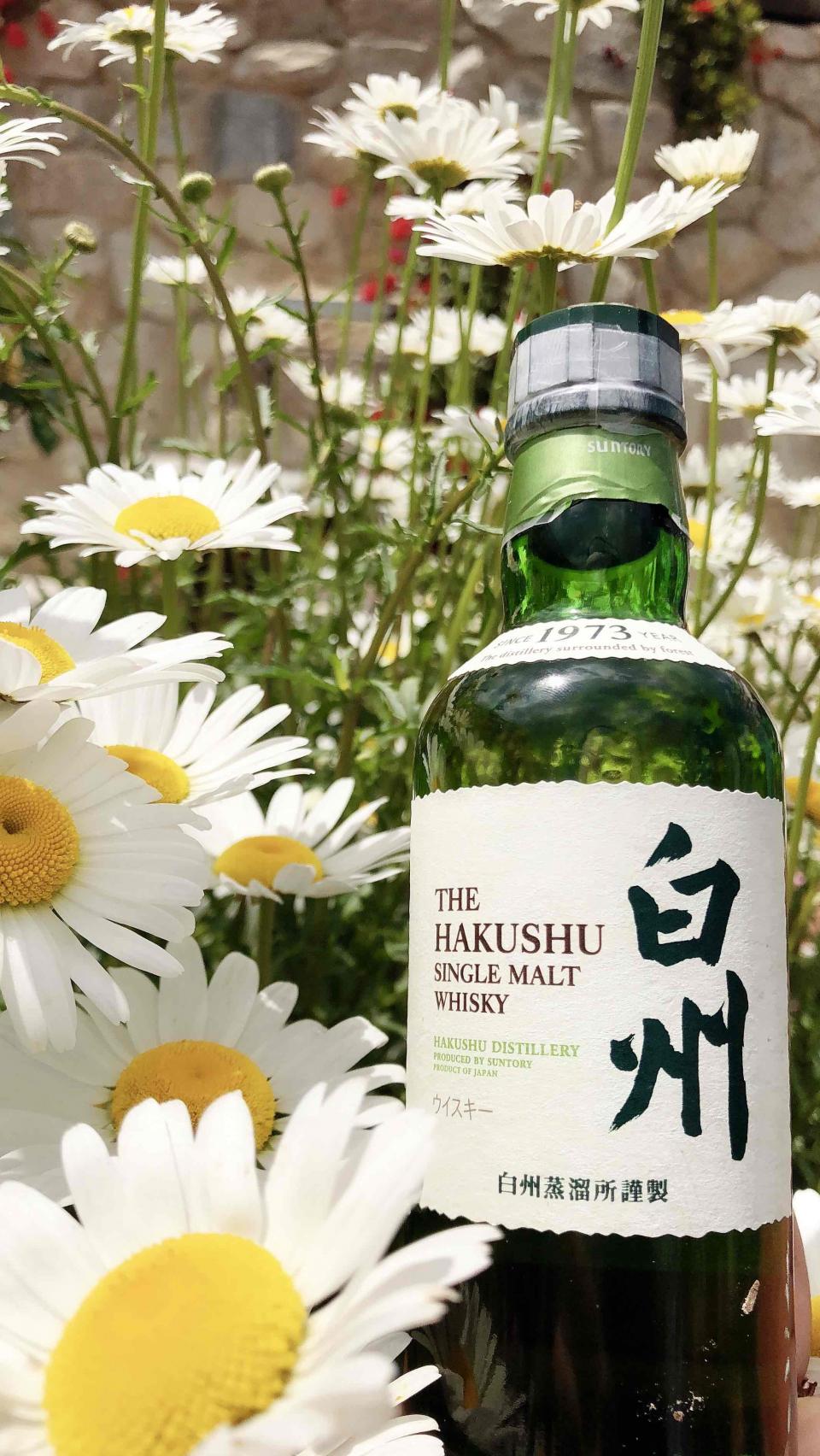 白州是个好模特😂