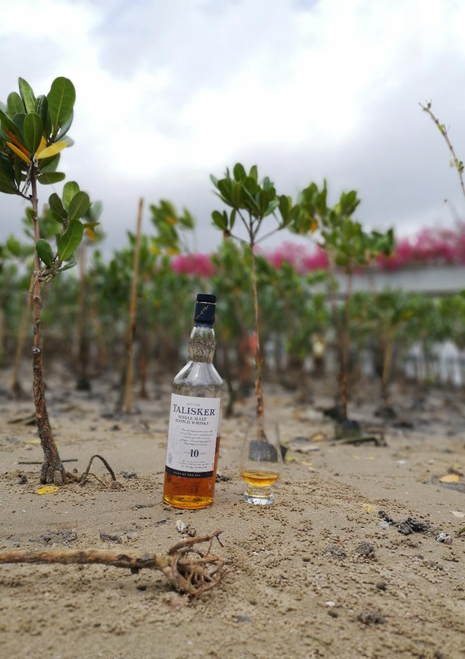 原来你是这么美...