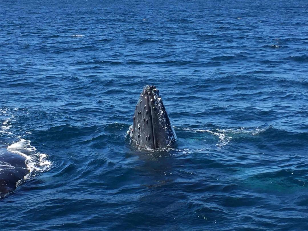 五月归来，努力升级💪💪