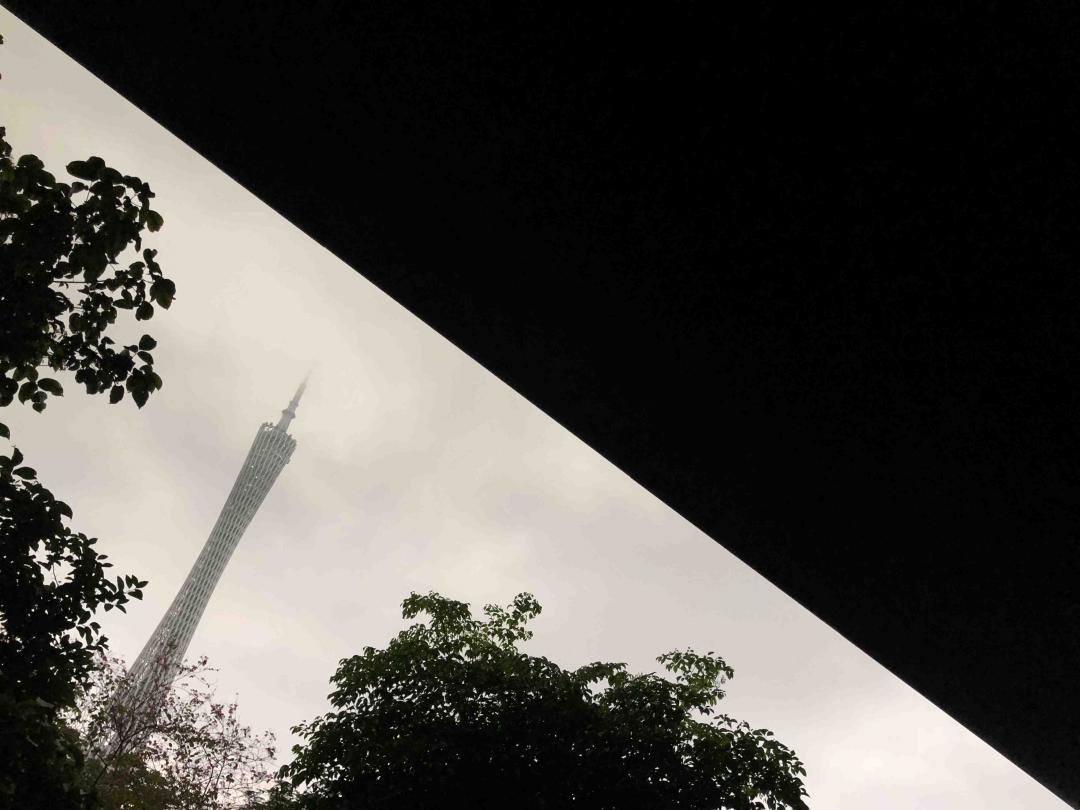 來个麥卡倫品鑒會花絮