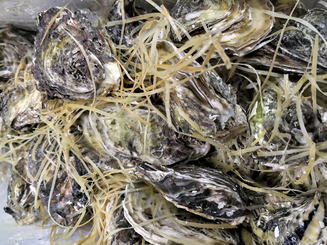 搞了一箱回来配57，老妈口味越来越重了，母亲节快乐吧