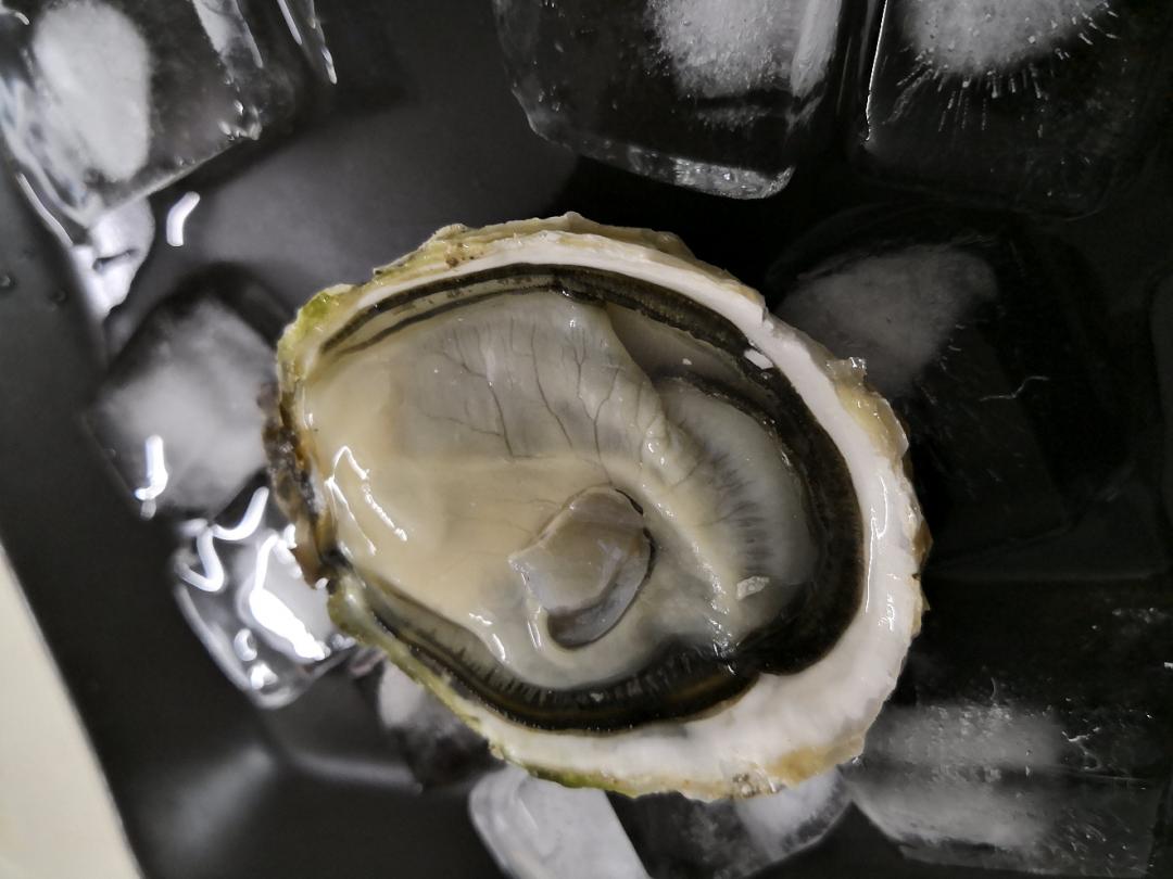 搞了一箱回来配57，老妈口味越来越重了，母亲节快乐吧