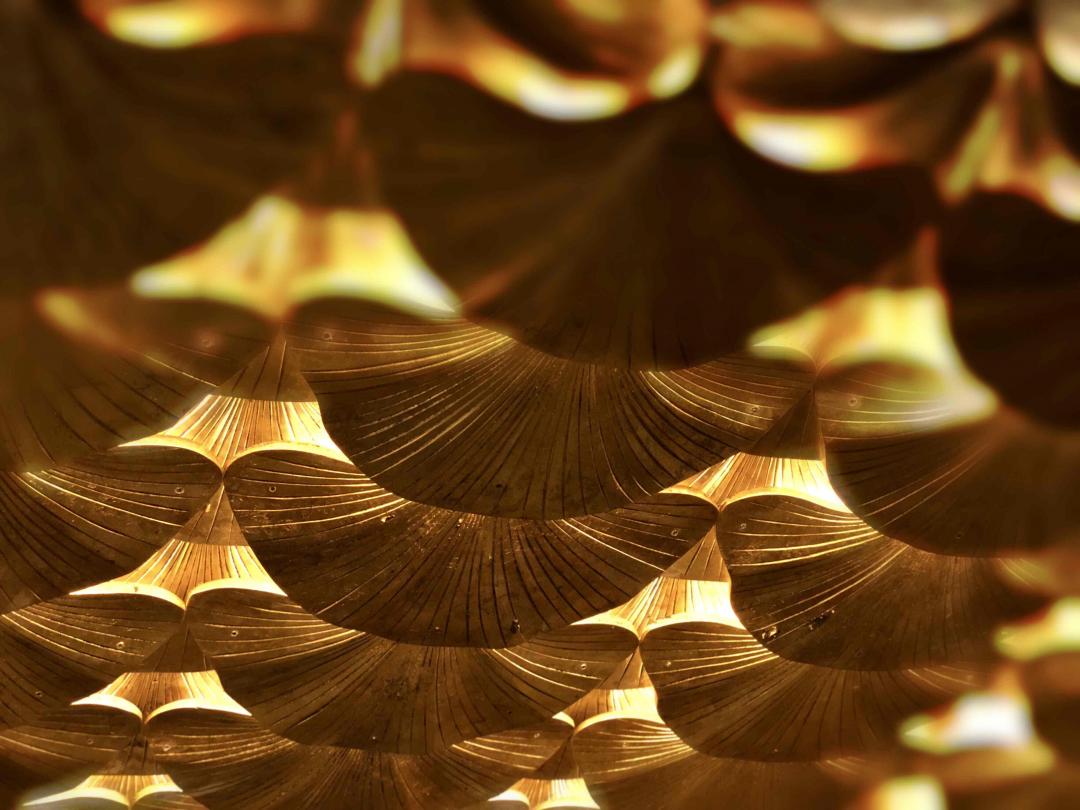 Dal more 达摩，高地圣🦌