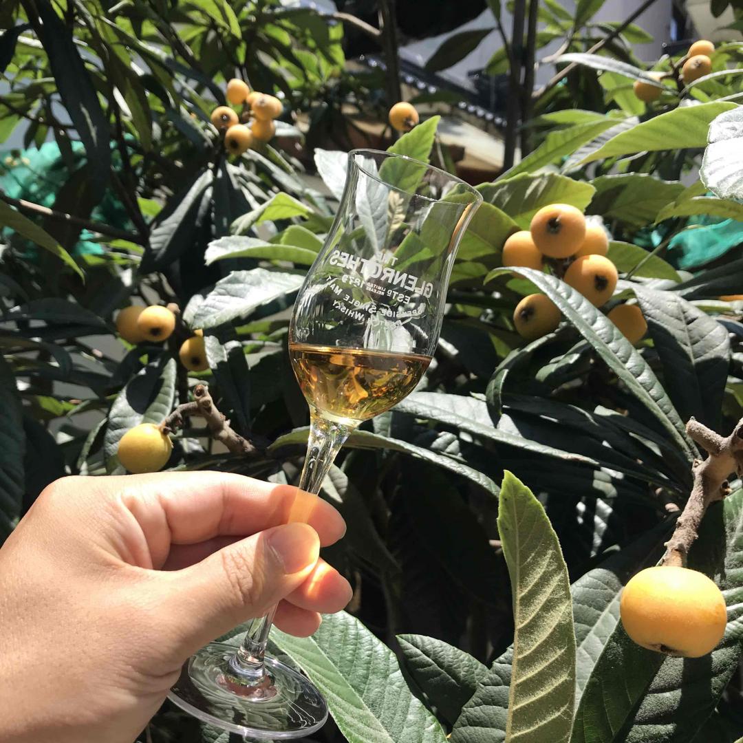 舒服的一天，雪莉怪兽，太湖边的虾，自摘的枇杷，井水冰镇的香槟西瓜火龙果～