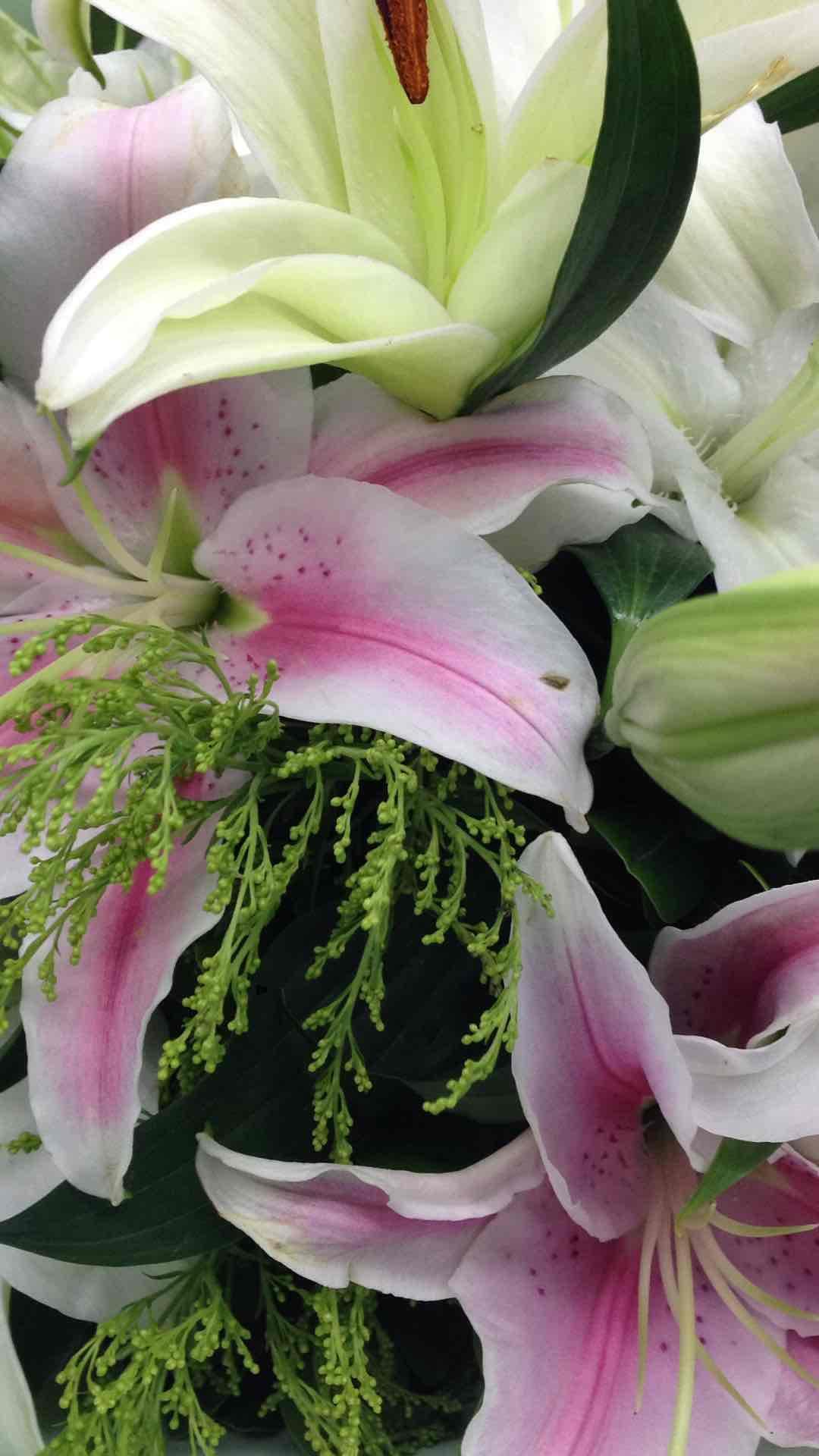 感谢某人💐🍺……喝点庆祝一下<img src='https://sdata.whiskyworm.com/xcxpics/emoji_22.png' class='emoji' />