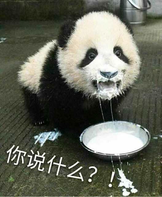 新手欧摩17品鉴