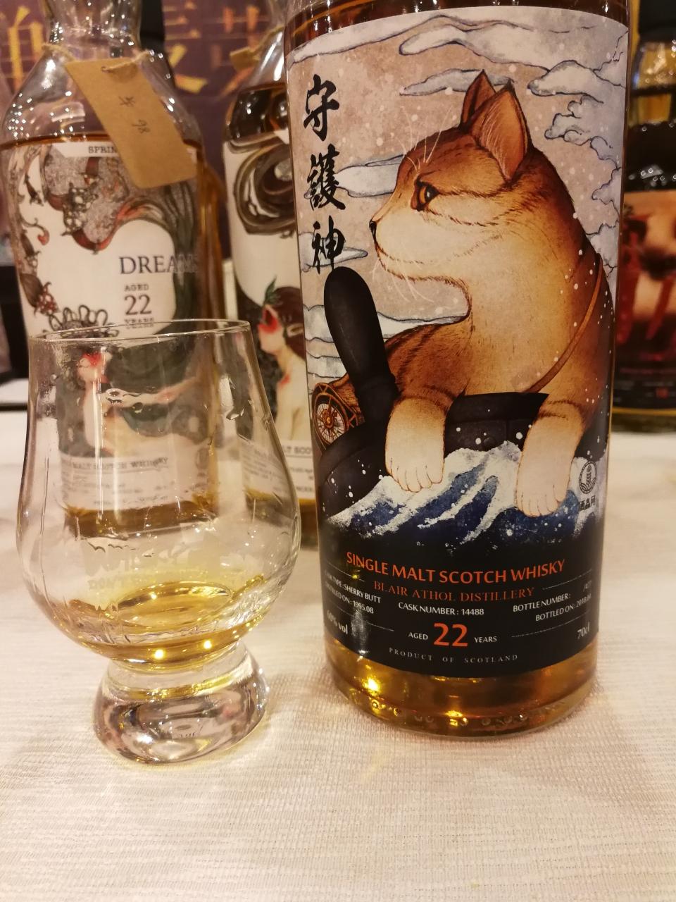 小猫咪(›´ω`‹ )