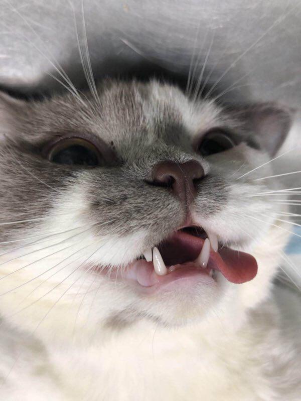 快喝不起苏威了 求推荐波本