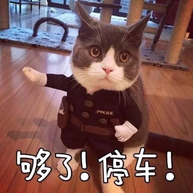 小姐姐片子在哪呢，你们去展会的都干嘛了(=_=)