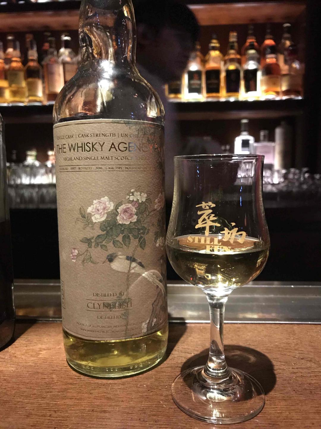 偶遇一只“小猫”