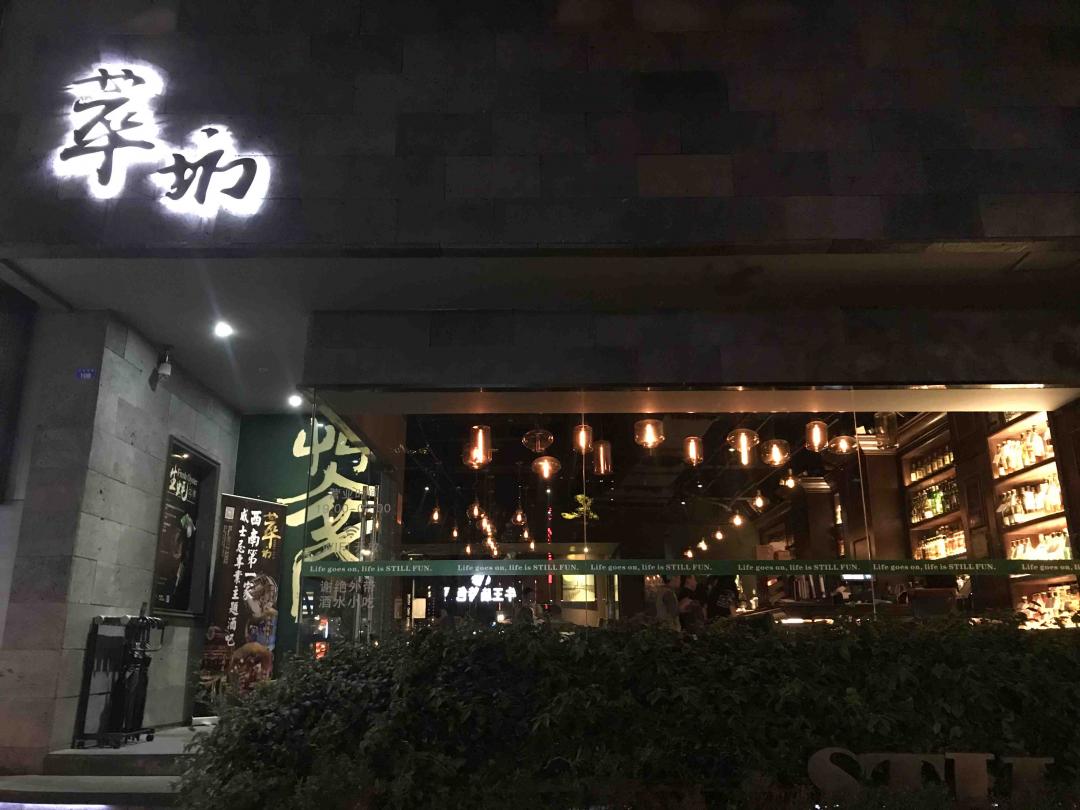 偶遇一只“小猫”