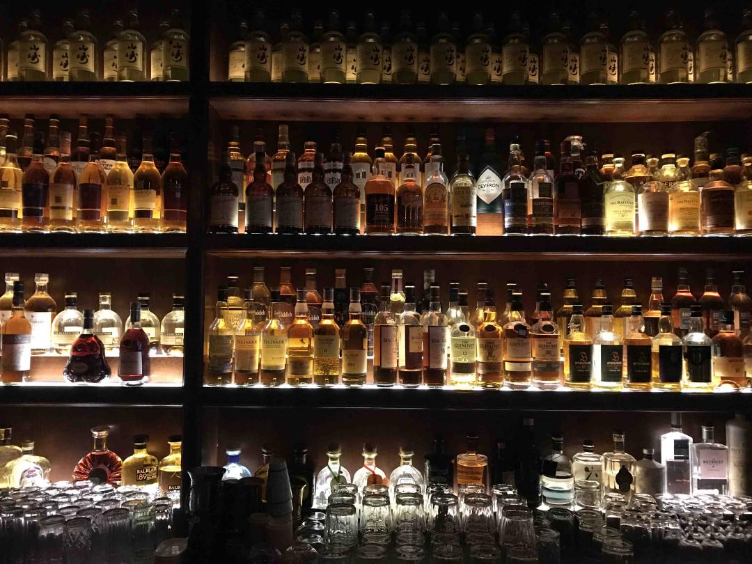 偶遇一只“小猫”