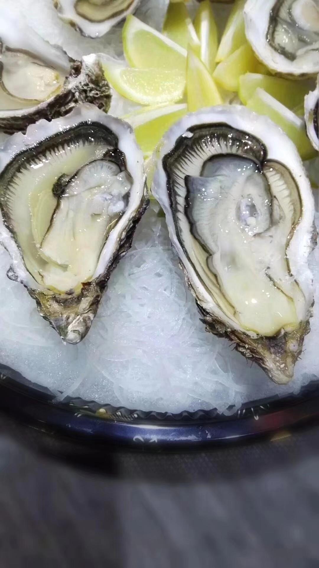 威友们，端午节快乐