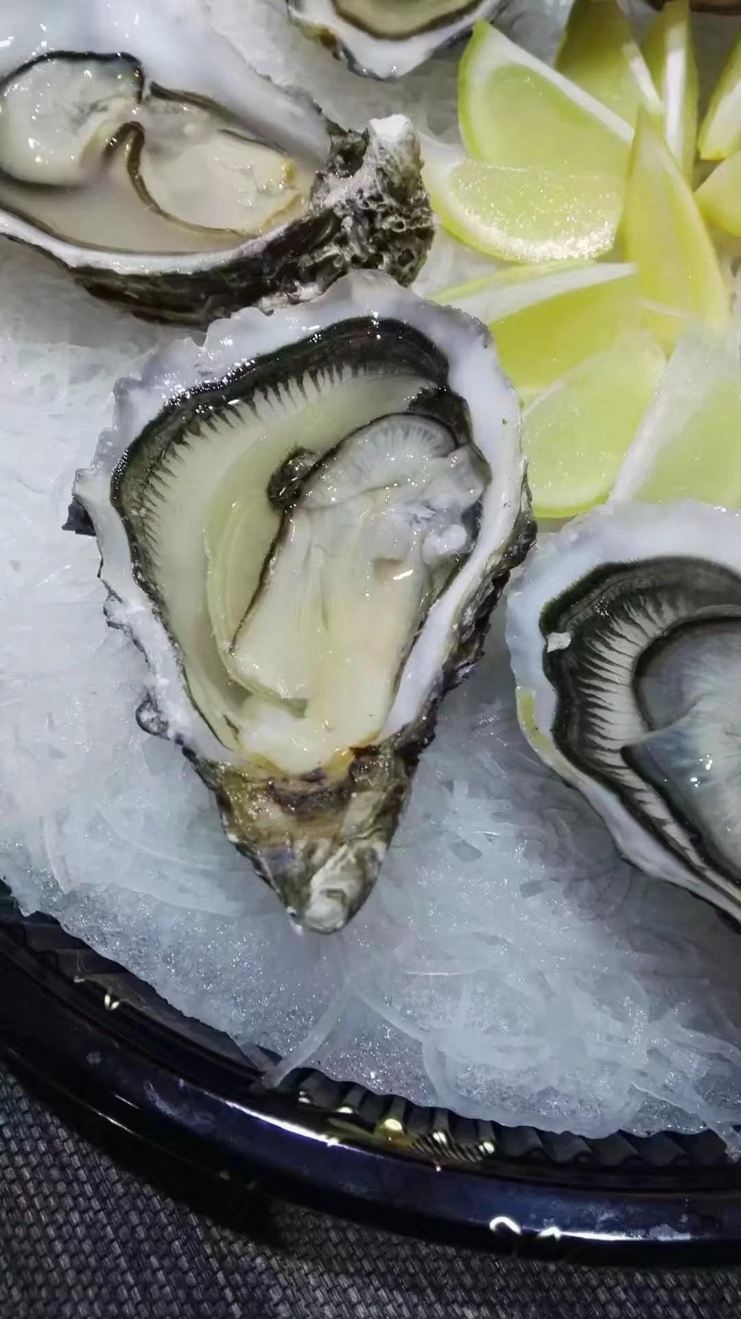 威友们，端午节快乐