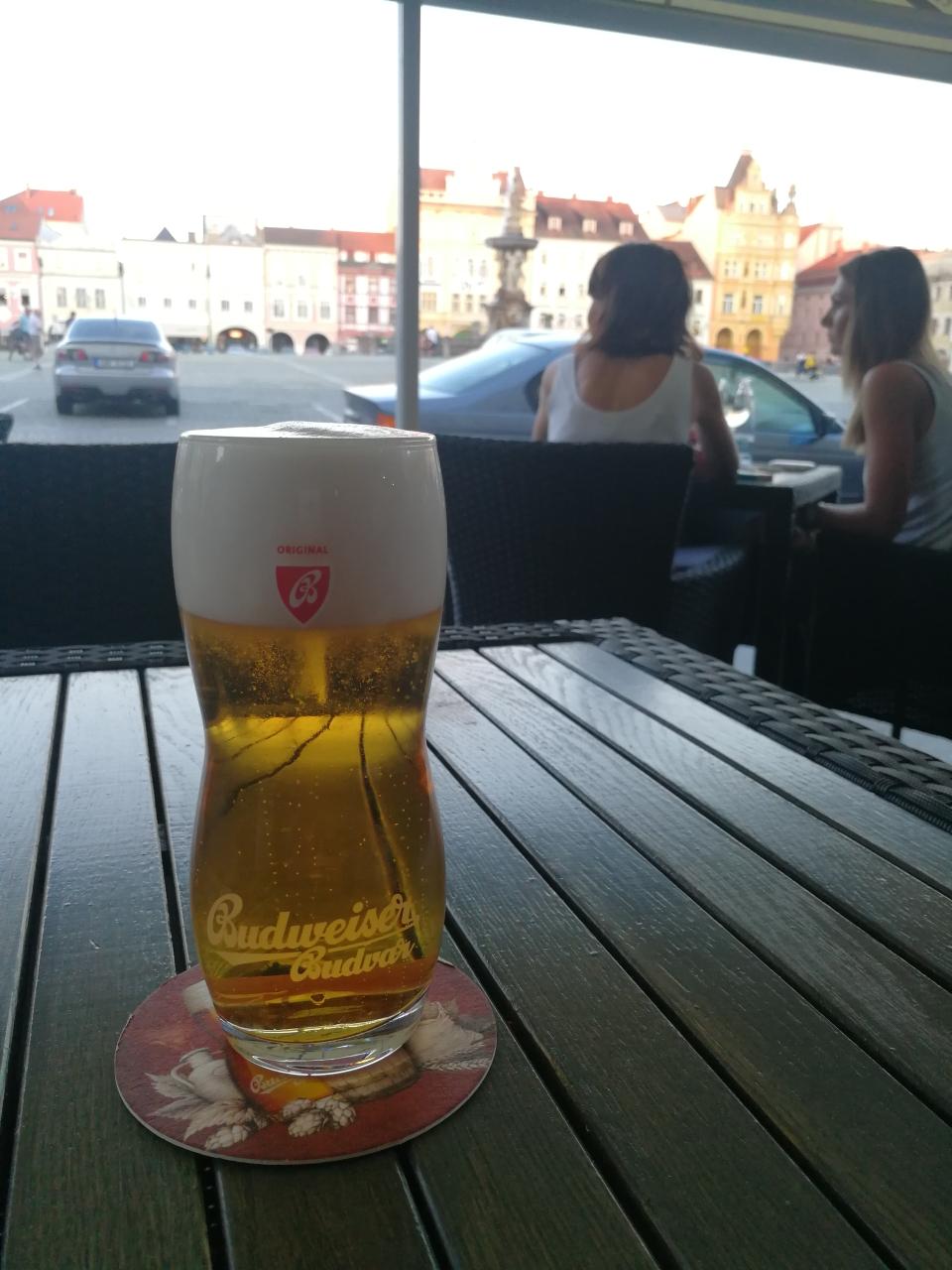 唉╯﹏╰喝了一路，可关键的总是拍不到💤